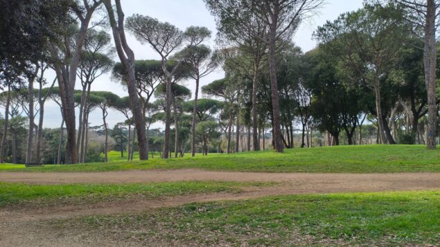 poco x7 pro bosco