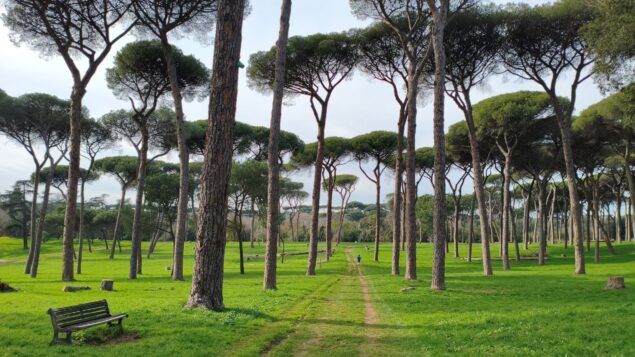 poco x7 pro condizioni ottimali