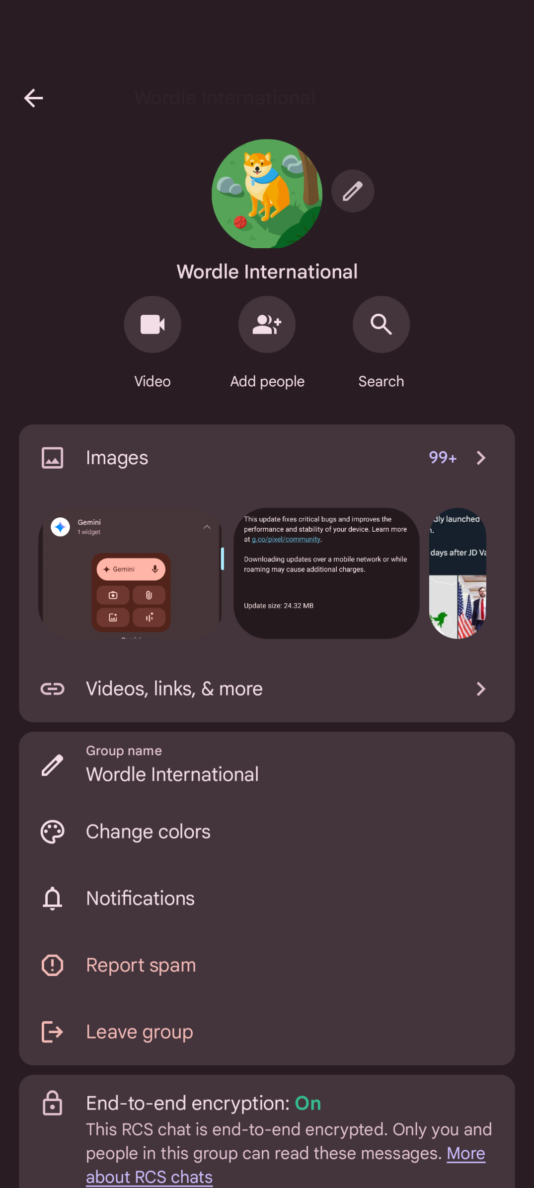 Google Messaggi v20250505 beta - Icona personalizzata chat RCS di gruppo