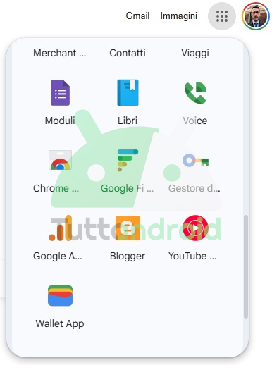 Google - Selettore App Web con Google Wallet app