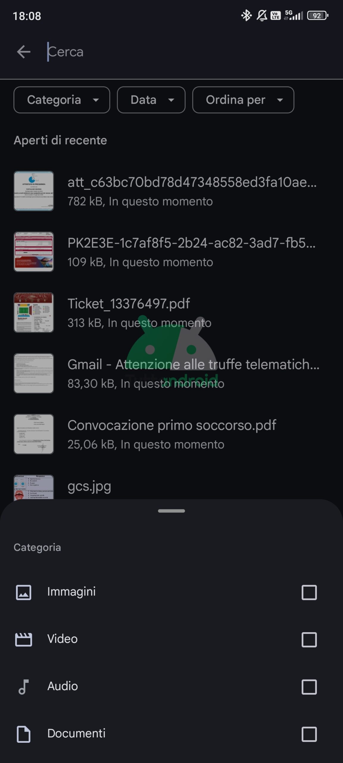 Files di Google ricerca filtro Categoria
