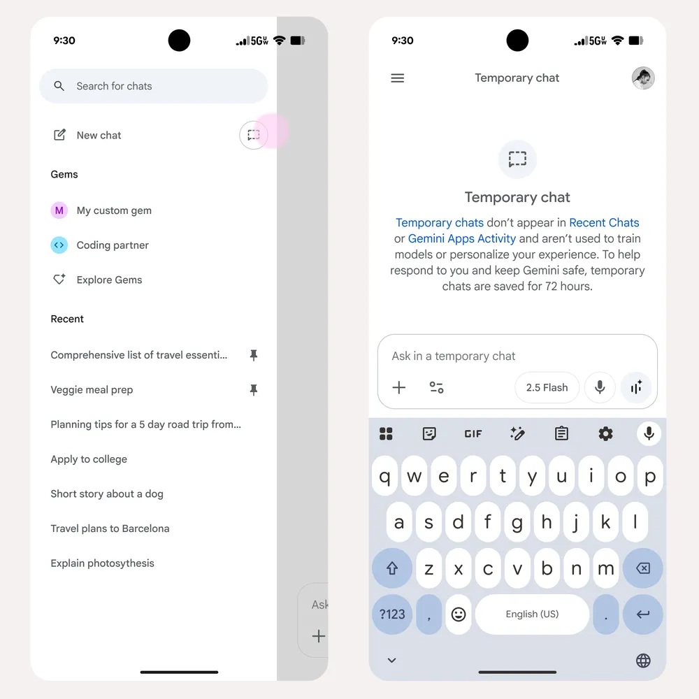 App Gemini - Chat temporanee ufficiale