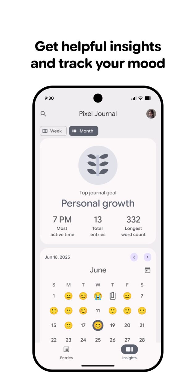 Nuova app Diario per i Google Pixel