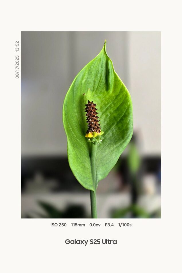 Samsung One UI 8 watermark fotografico-1
