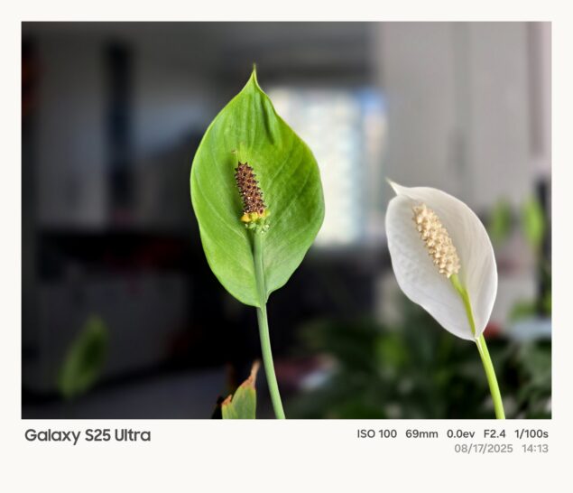 Samsung One UI 8 watermark fotografico-1a