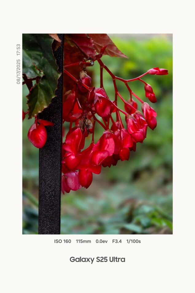 Samsung One UI 8 watermark fotografico-2a