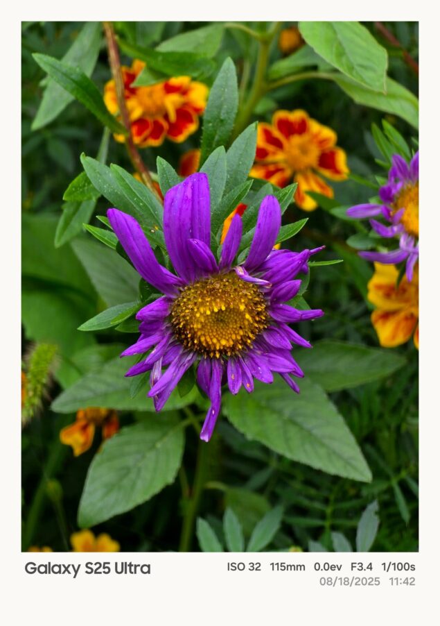 Samsung One UI 8 watermark fotografico-3