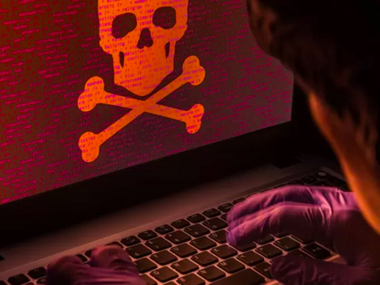 Piracy Shield 2.0, lo scudo anti-pirateria di AGCOM, ora blocca anche film, serie TV e musica