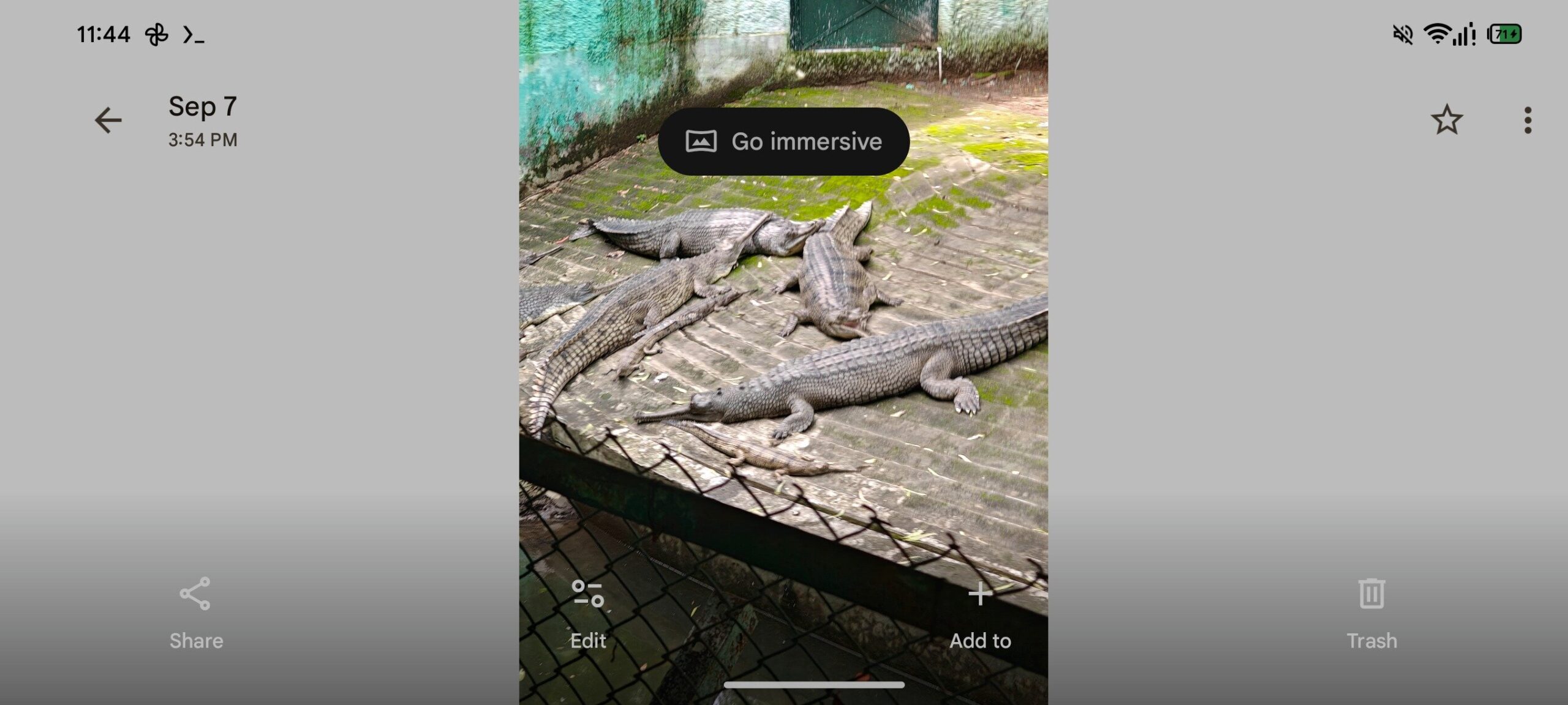 Google Foto v7.50 - scheda Spatial
