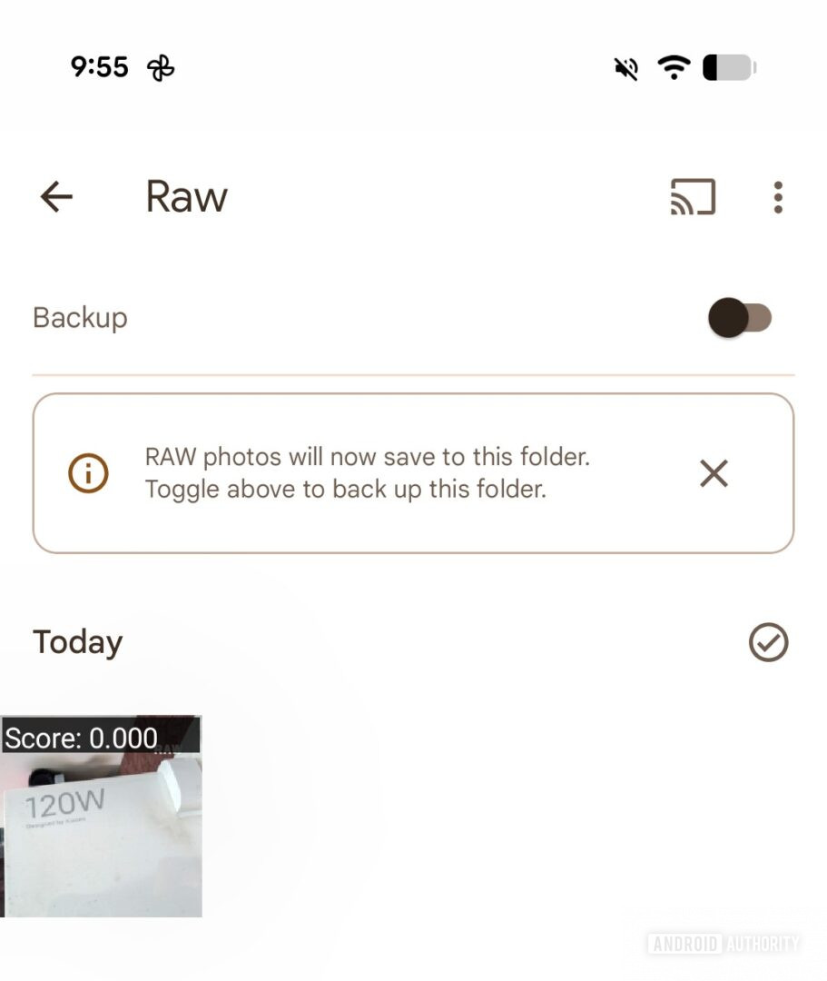 Google Foto v7.52 - Cartella Raw