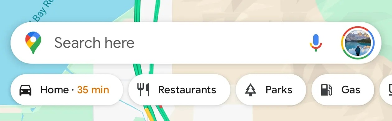 Google Maps chips Home