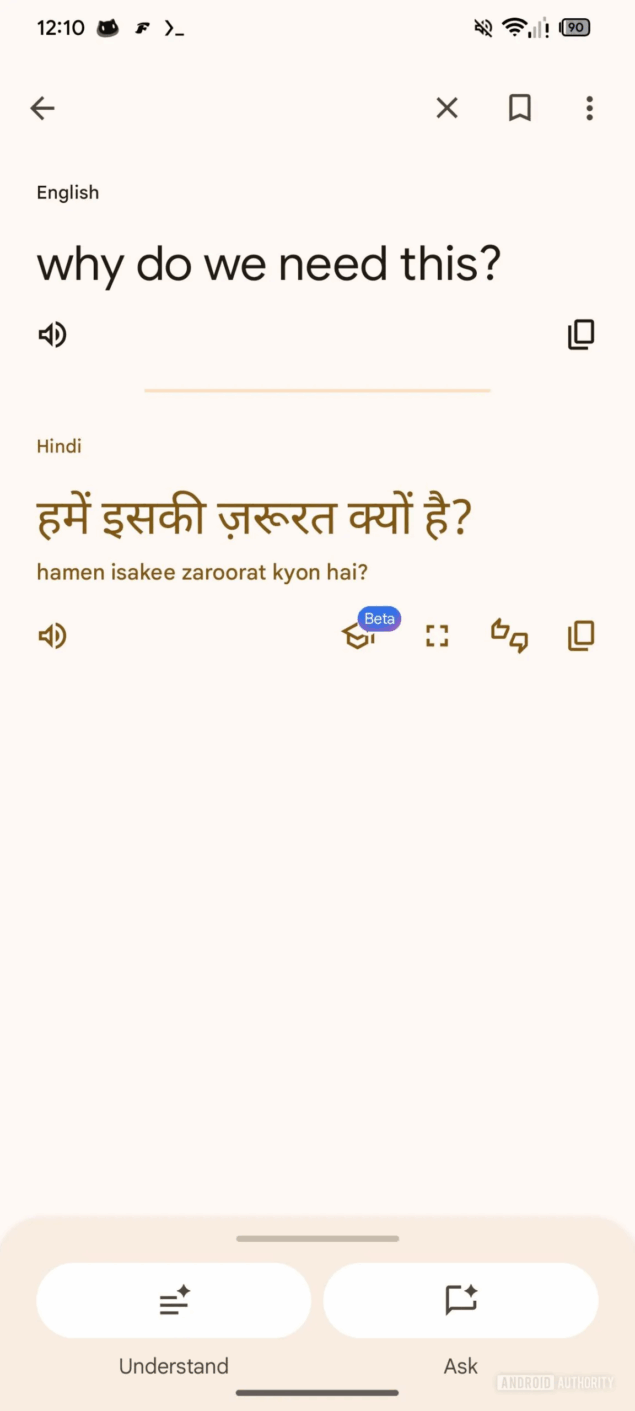 Google Translate schermo intero-1