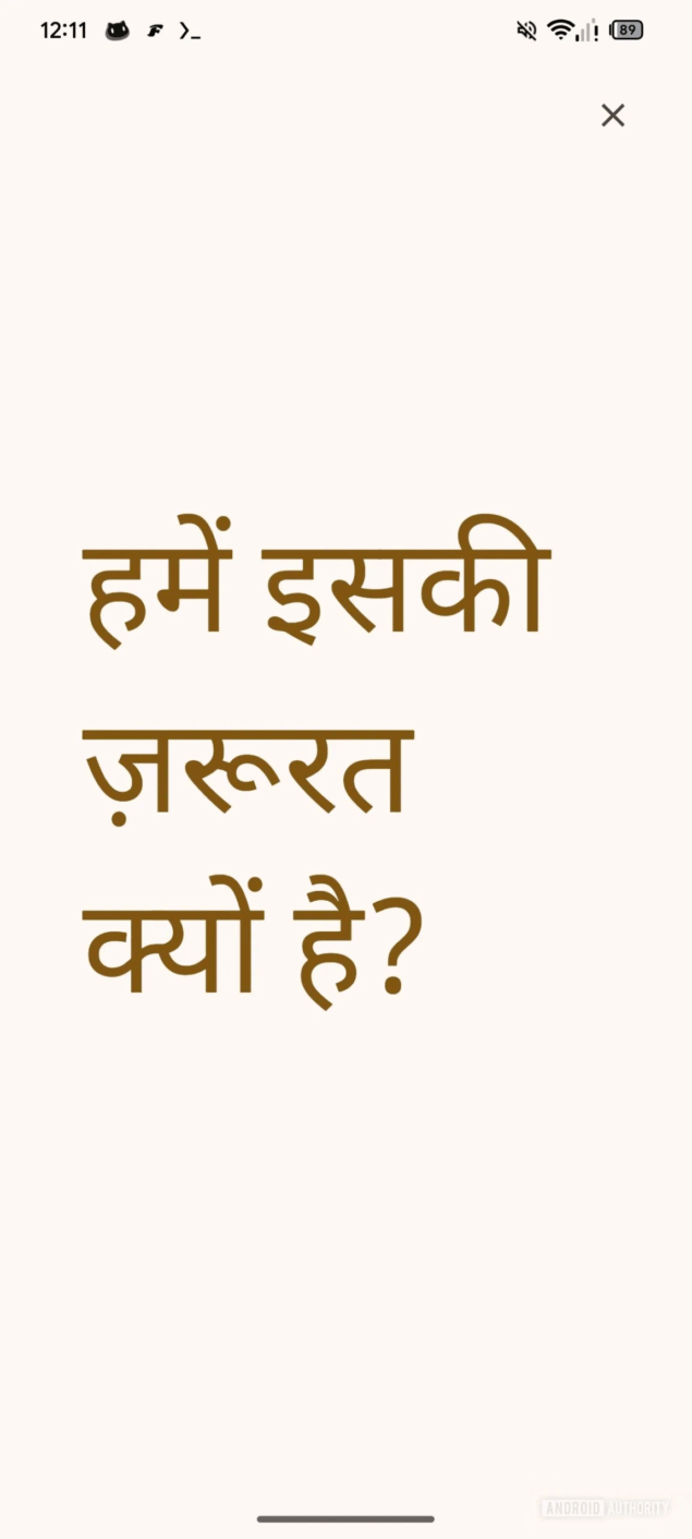 Google Translate schermo intero-2