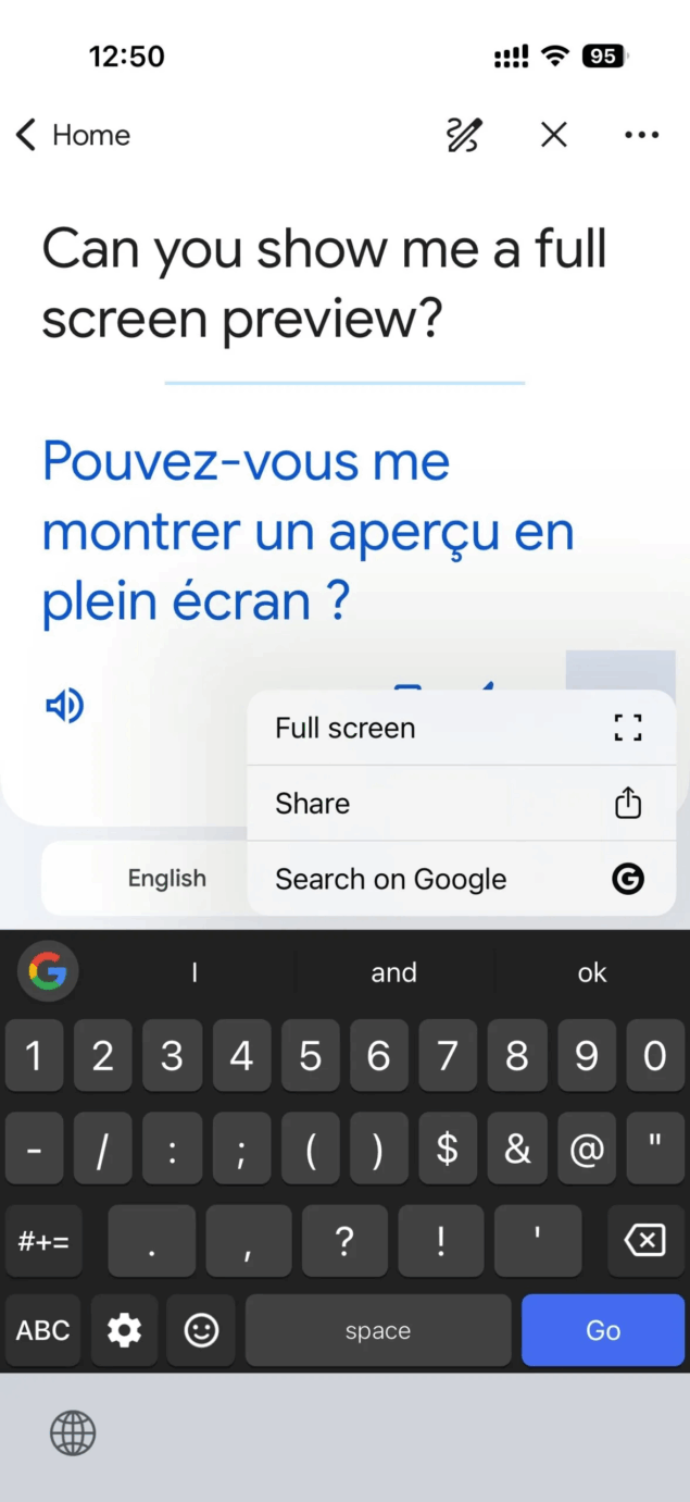 Google Translate schermo intero-3