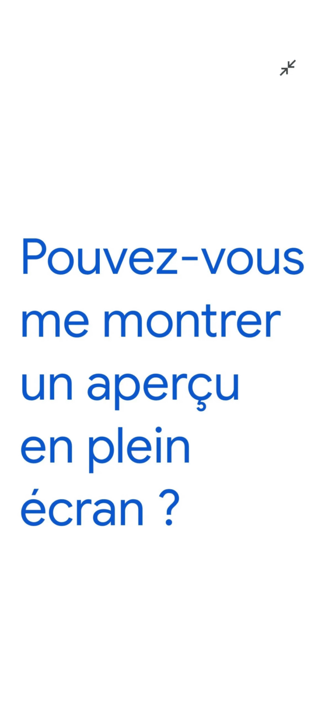 Google Translate schermo intero-4