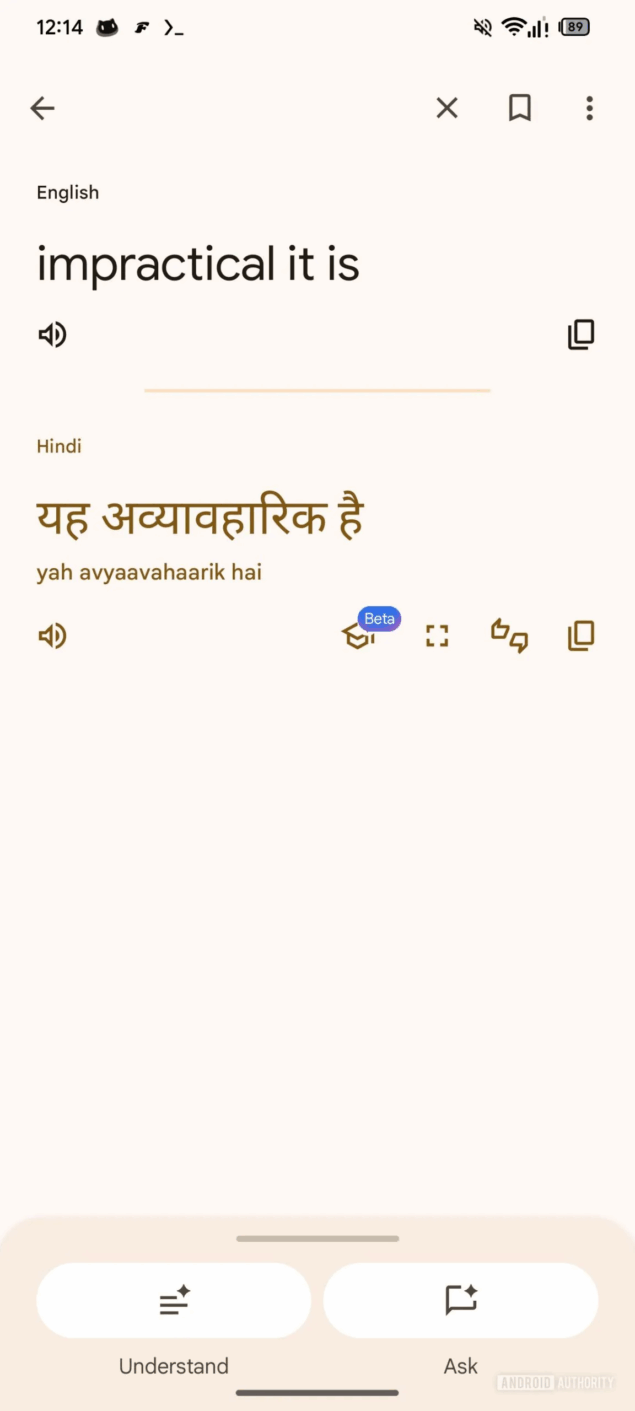 Google Translate schermo intero-5