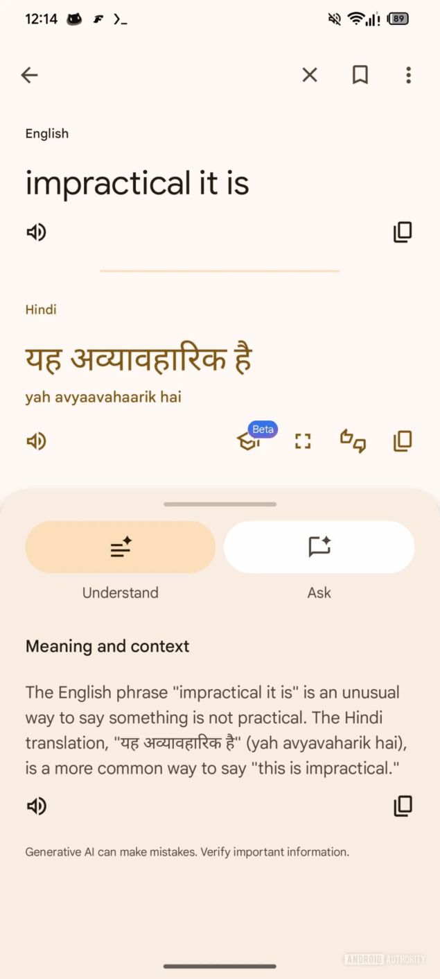 Google Translate schermo intero-6