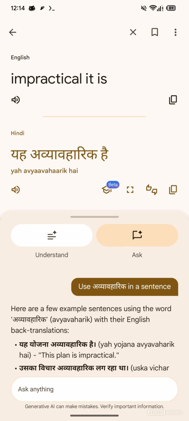 Google Translate schermo intero-8