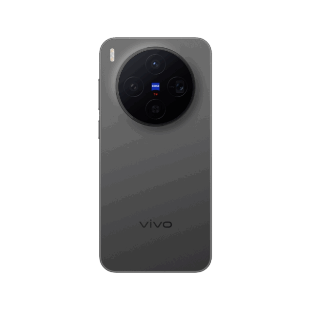 Vivo X300