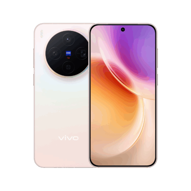 Vivo X300