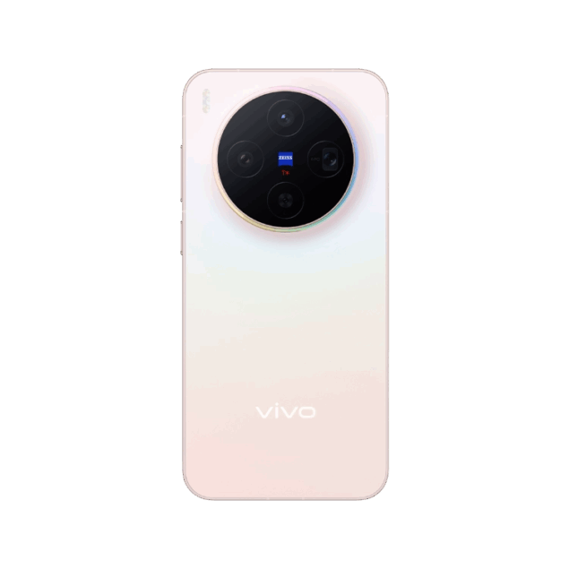 Vivo X300