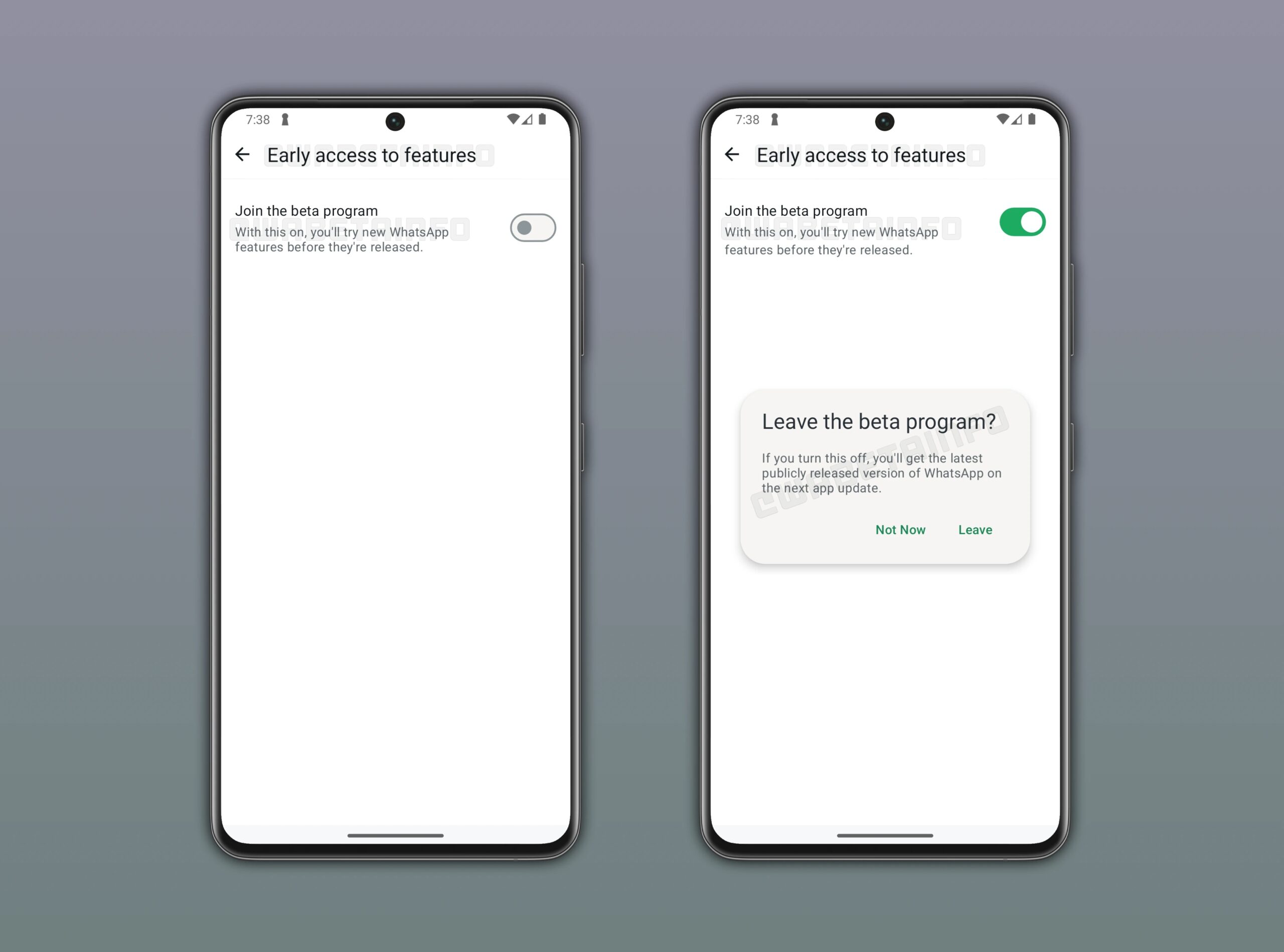 WhatsApp accesso WhatsApp beta