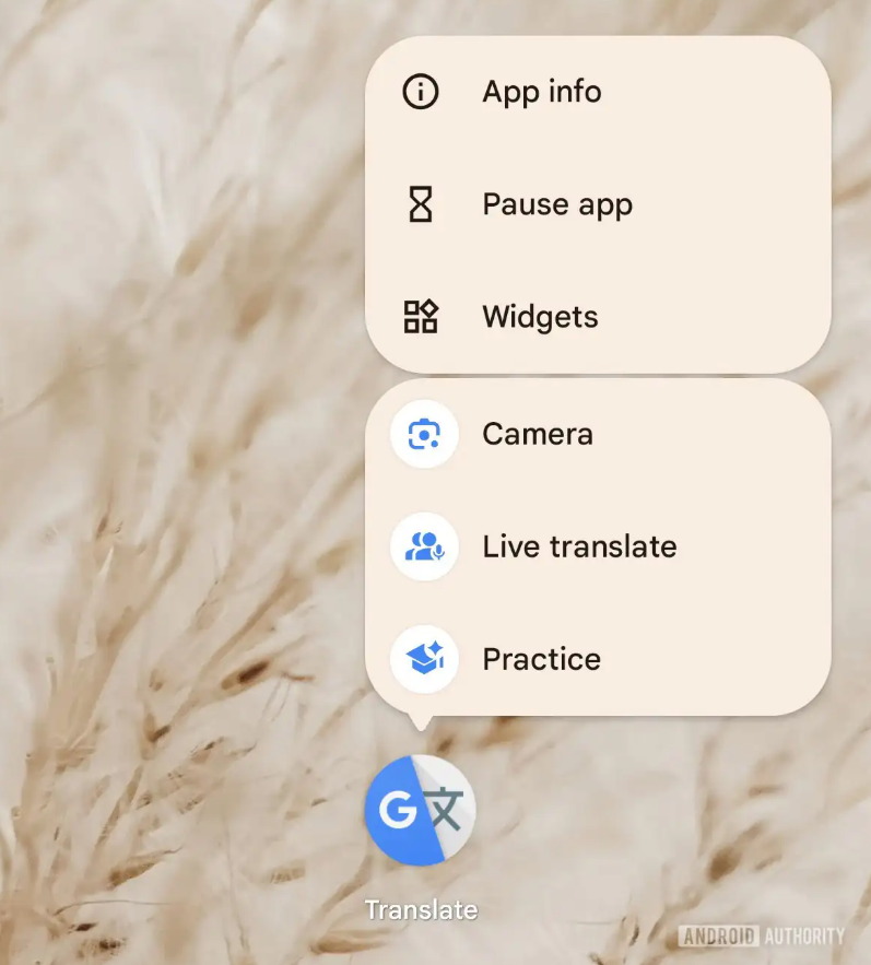 Google Traduttore