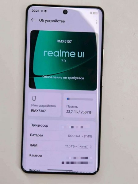 realme batteria 10001 mAh