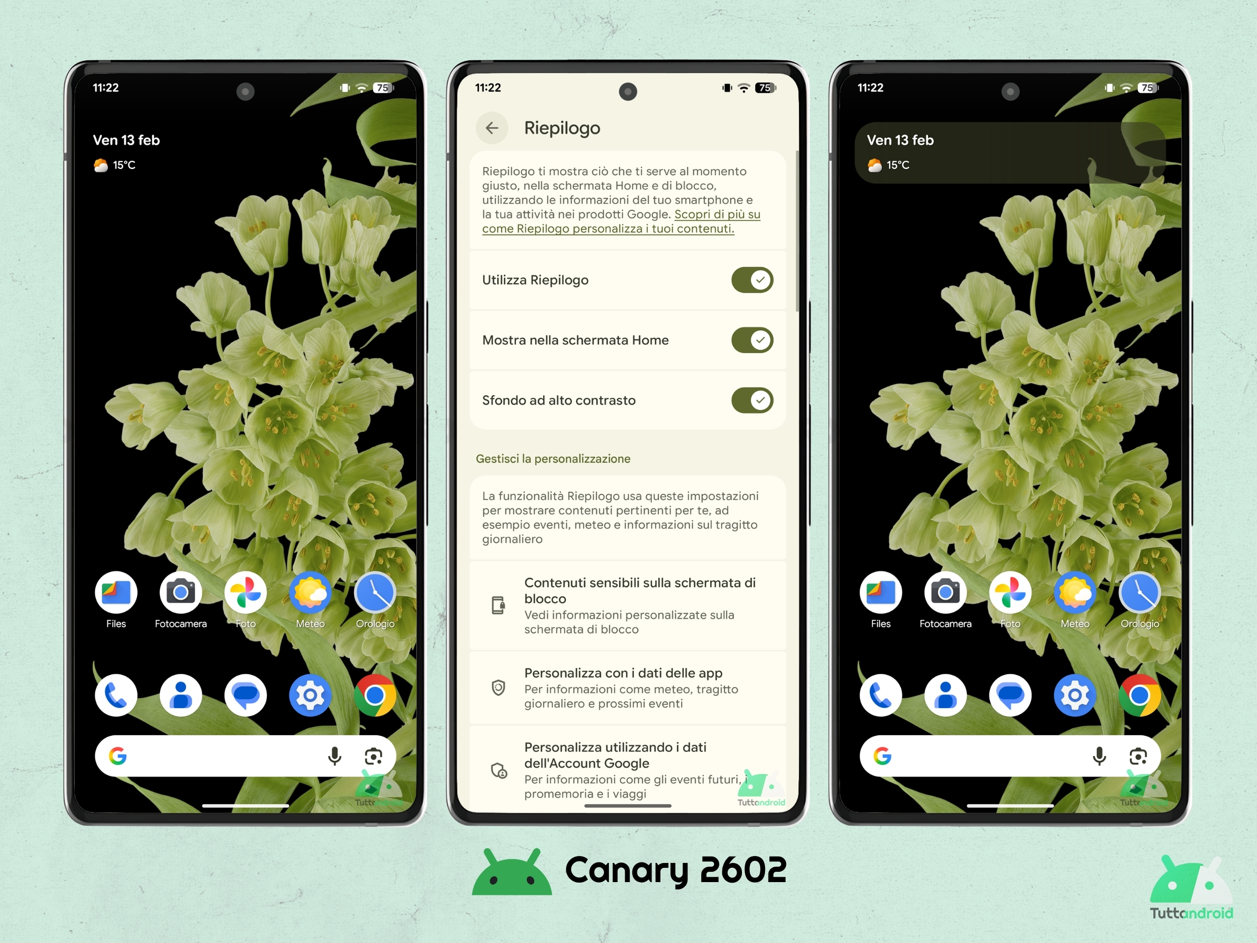 Android CANARY 2602 - Widget Riepilogo - Sfondo ad alto contrasto