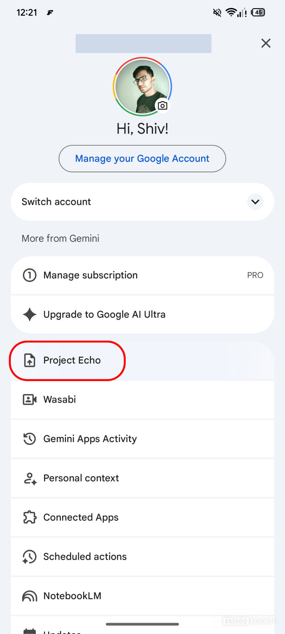 App Google v17.7.60 beta - Gemini - Project Echo AA
