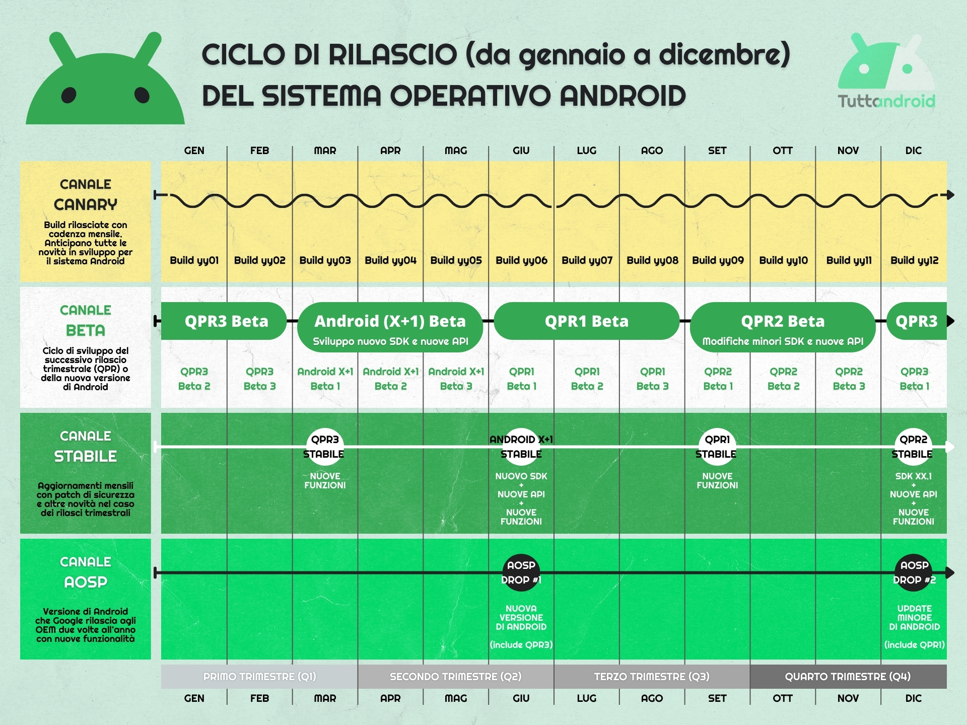 Nuovo ciclo di rilascio annuale di Android dal 2025