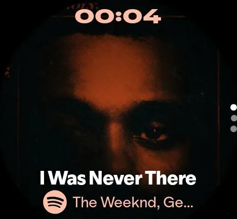 Spotify Wear OS