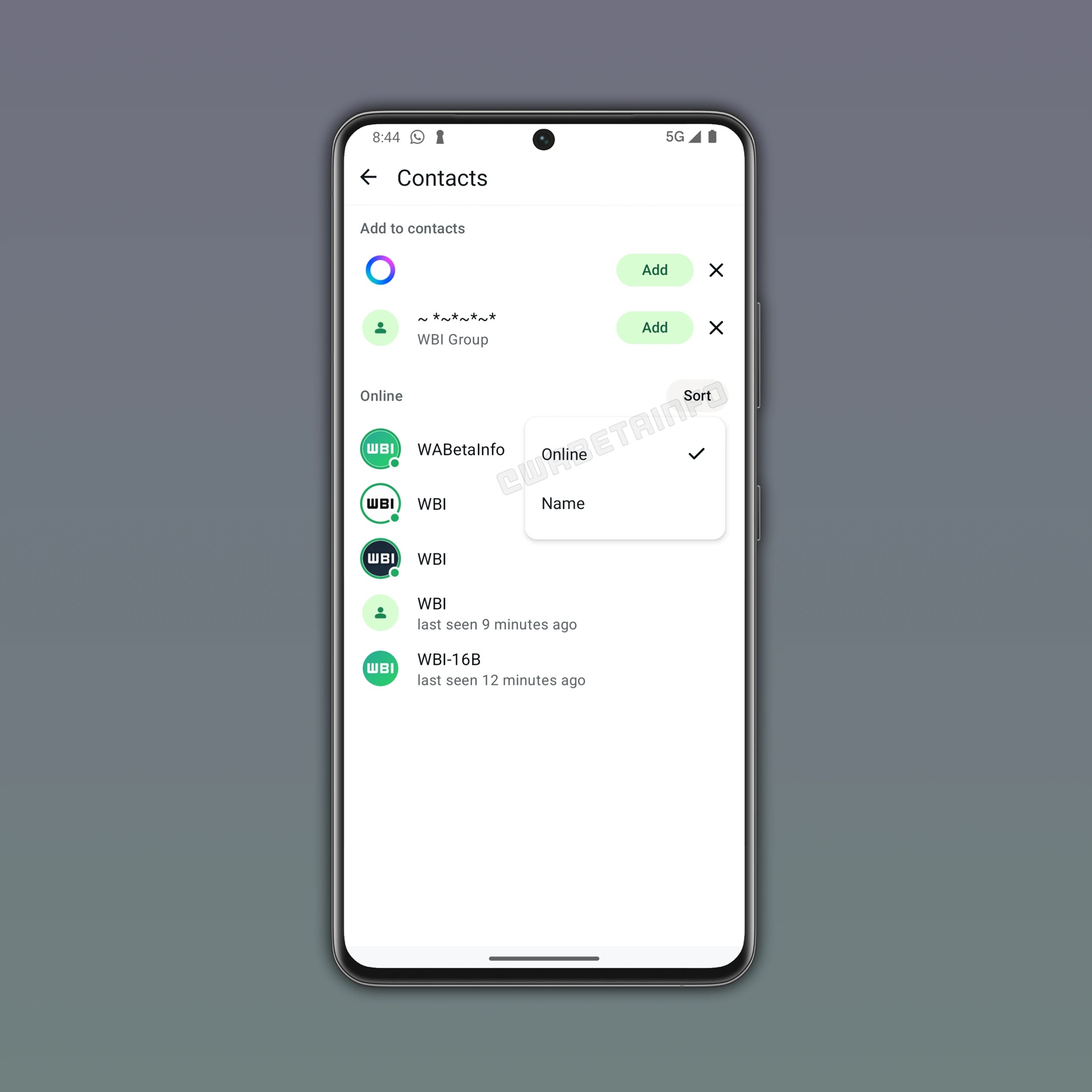 WhatsApp Beta per Android v2.26.13.3 - Lista contatti online WBI
