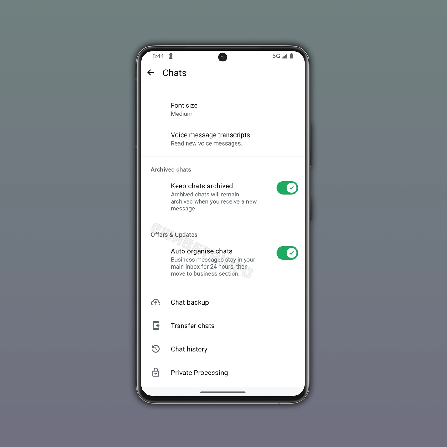WhatsApp Beta v2.26.15.9 - Auto organise business chats