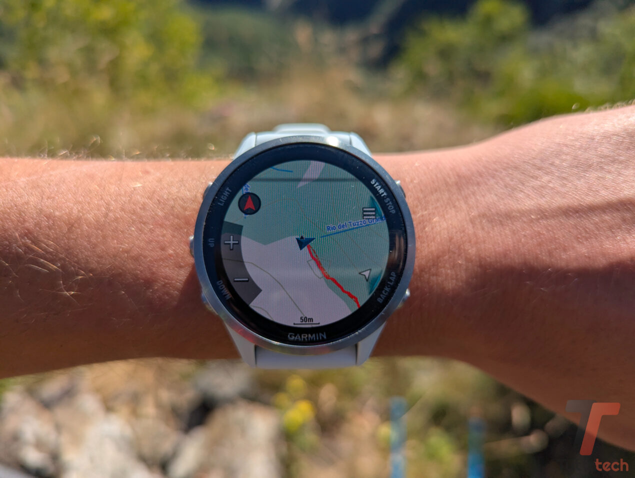Garmin Connect si rinnova: follower asimmetrici, allenamenti su misura e nuove opzioni privacy