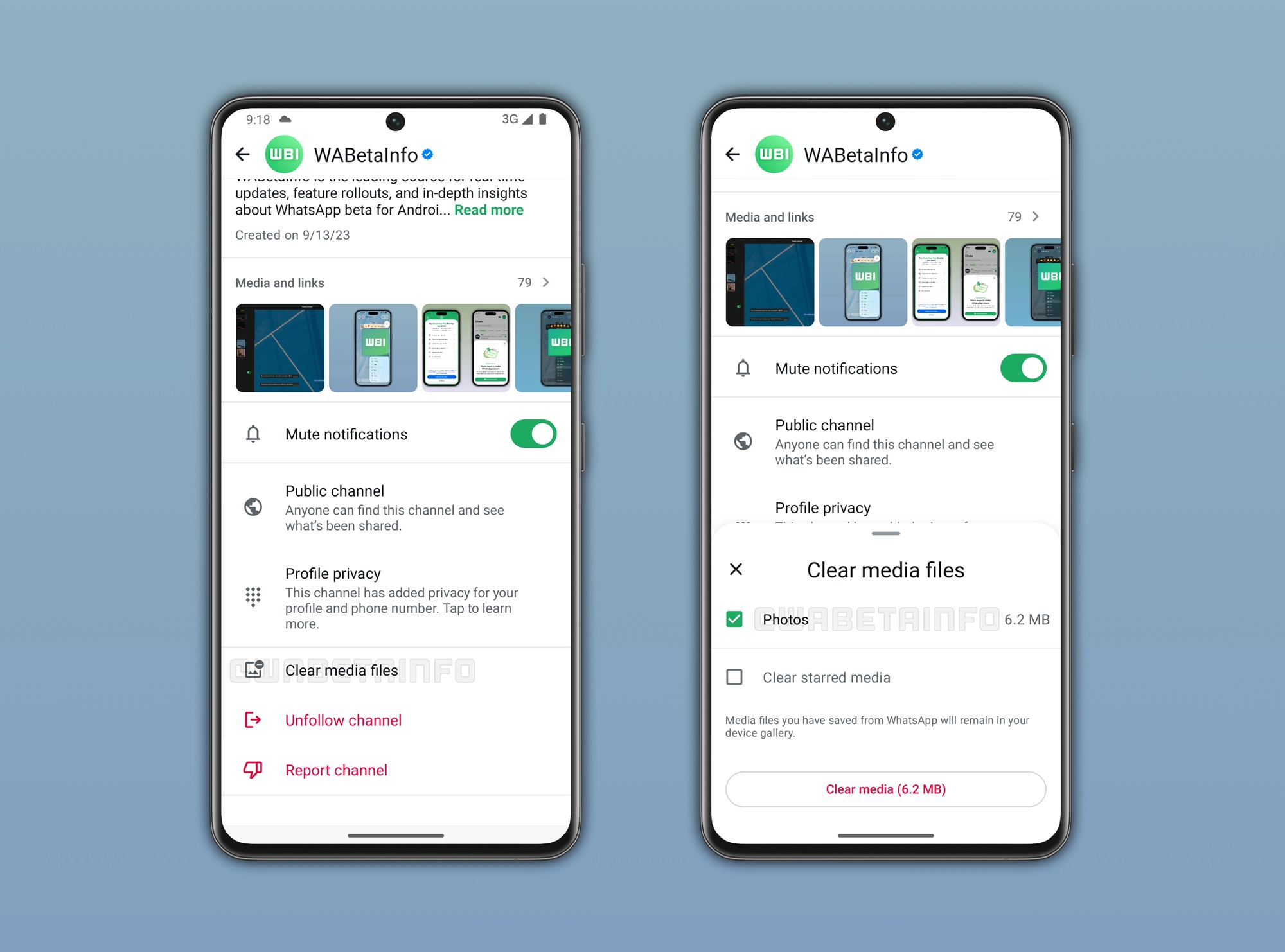 WhatsApp Beta v2.26.19.4 - Cancella file multimediali dai canali WBI