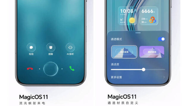 magicos 11