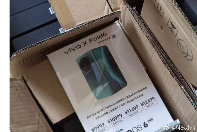 Vivo X Fold6