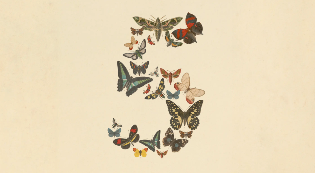 Anthropic claude fable 5