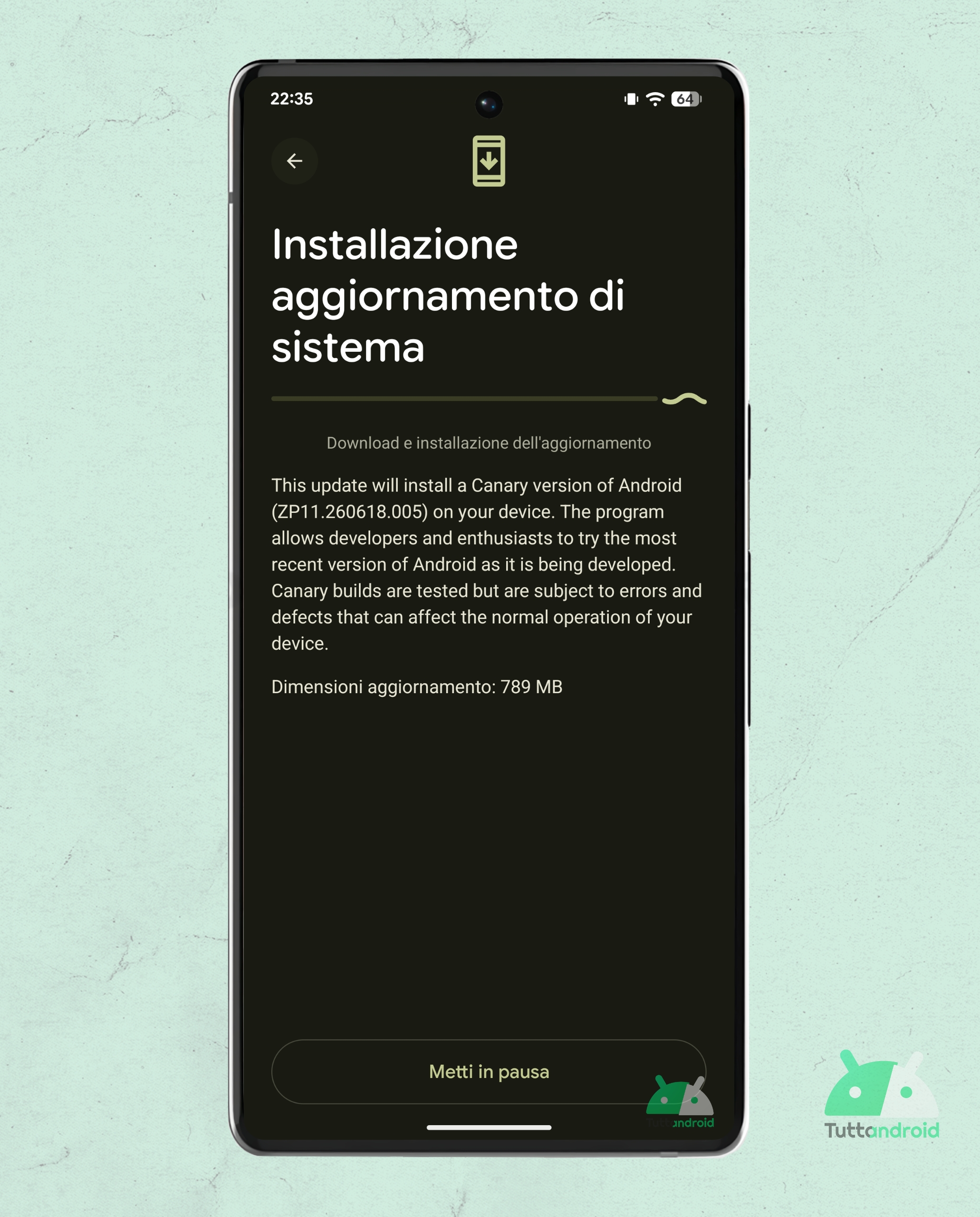 Android Canary Build 2607 on Google Pixel 6 Pro