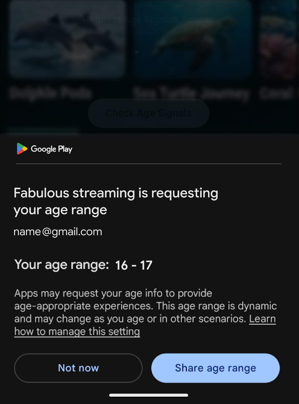 Google Play Store - esempio Play Age Signals API
