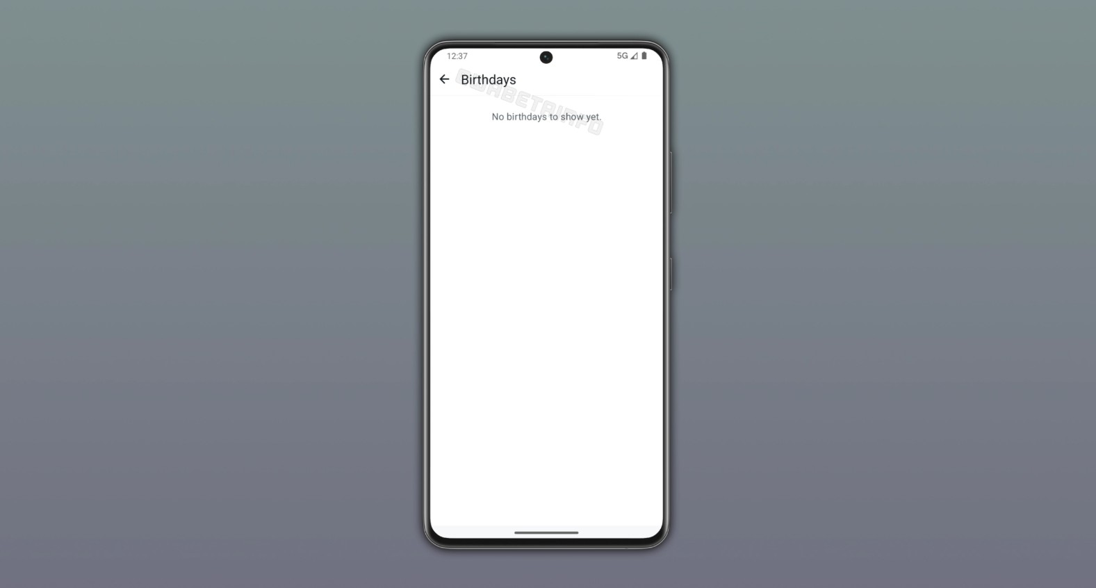 WhatsApp Beta