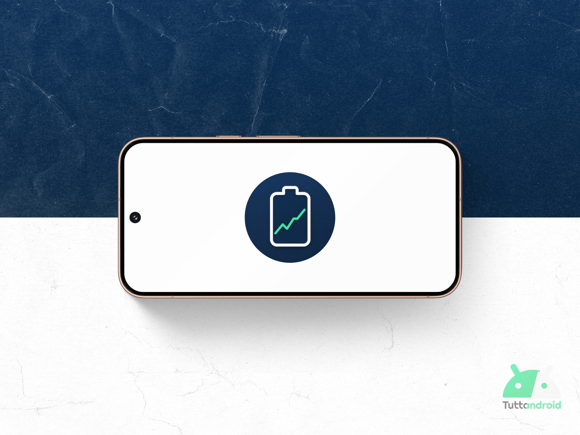 Vizo Battery