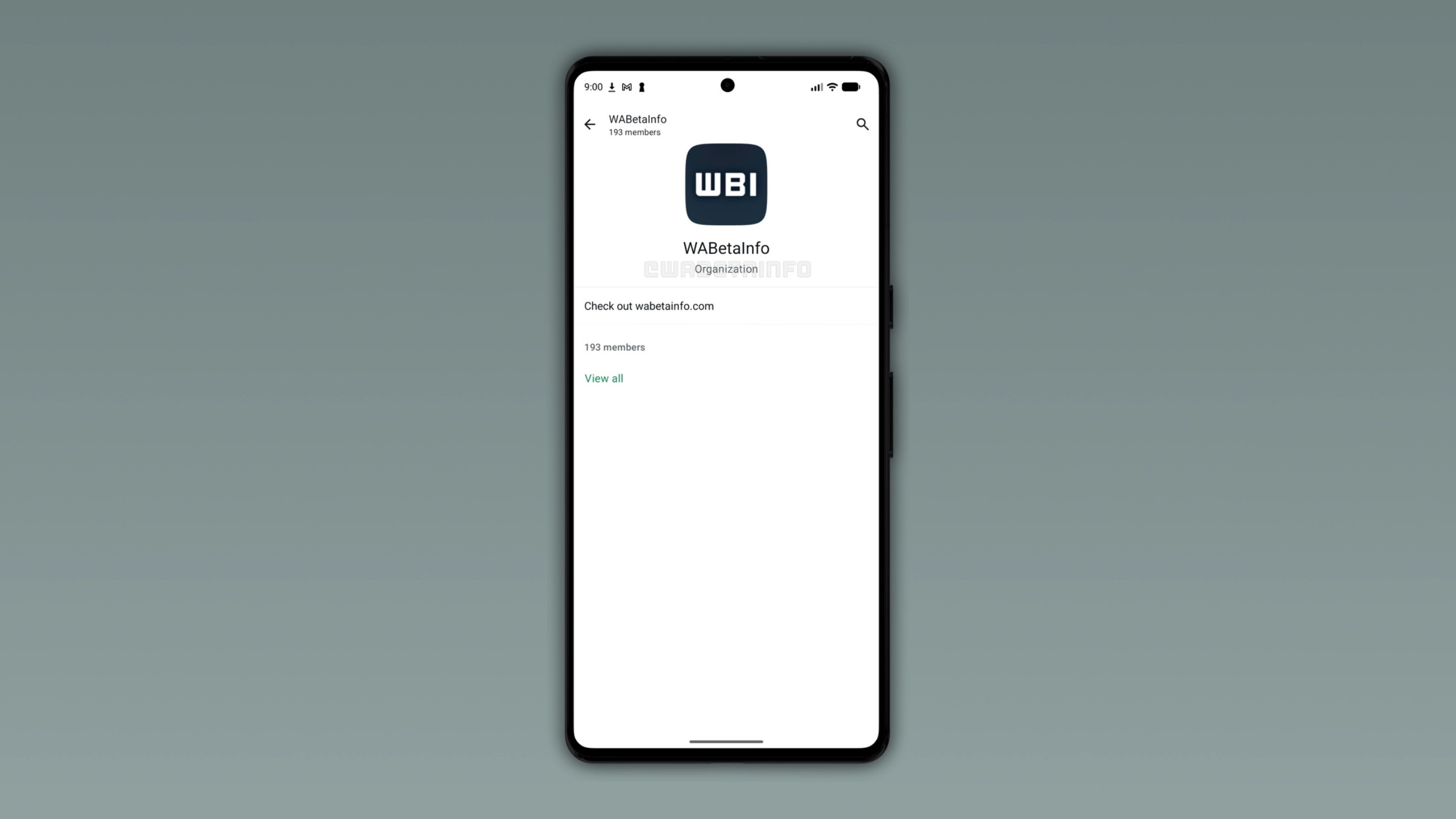 WhatsApp testa Organizations: agli admin avranno un posto unico per ...