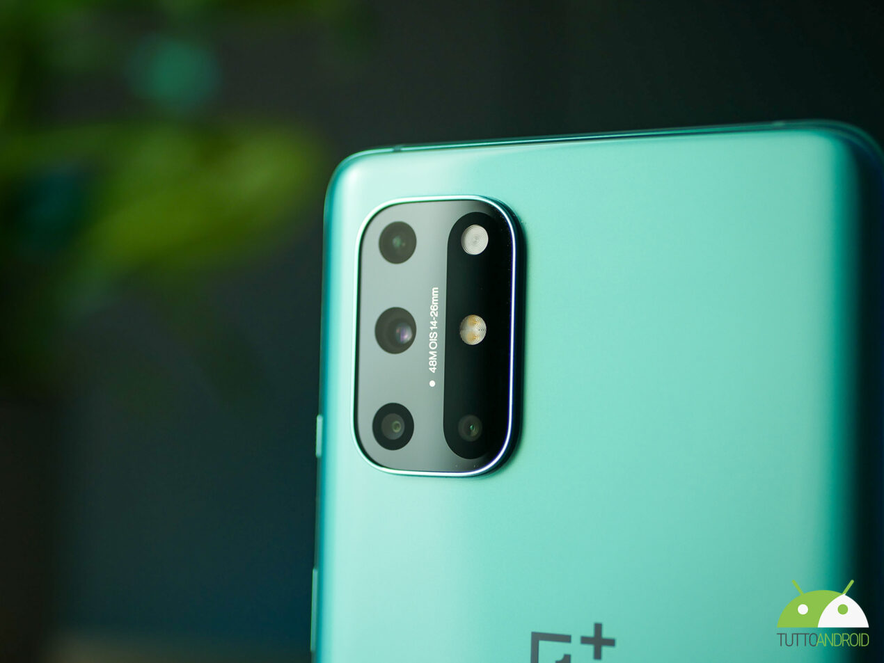 OnePlus 8T e Nord CE 5G sono in offerta a un prezzo folle su Gshopper
