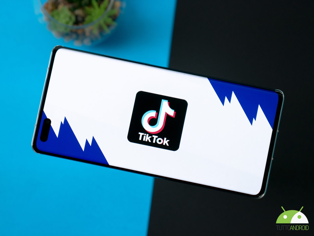 Intorno a TikTok ruota un ecosistema di quasi 1.000 applicazioni